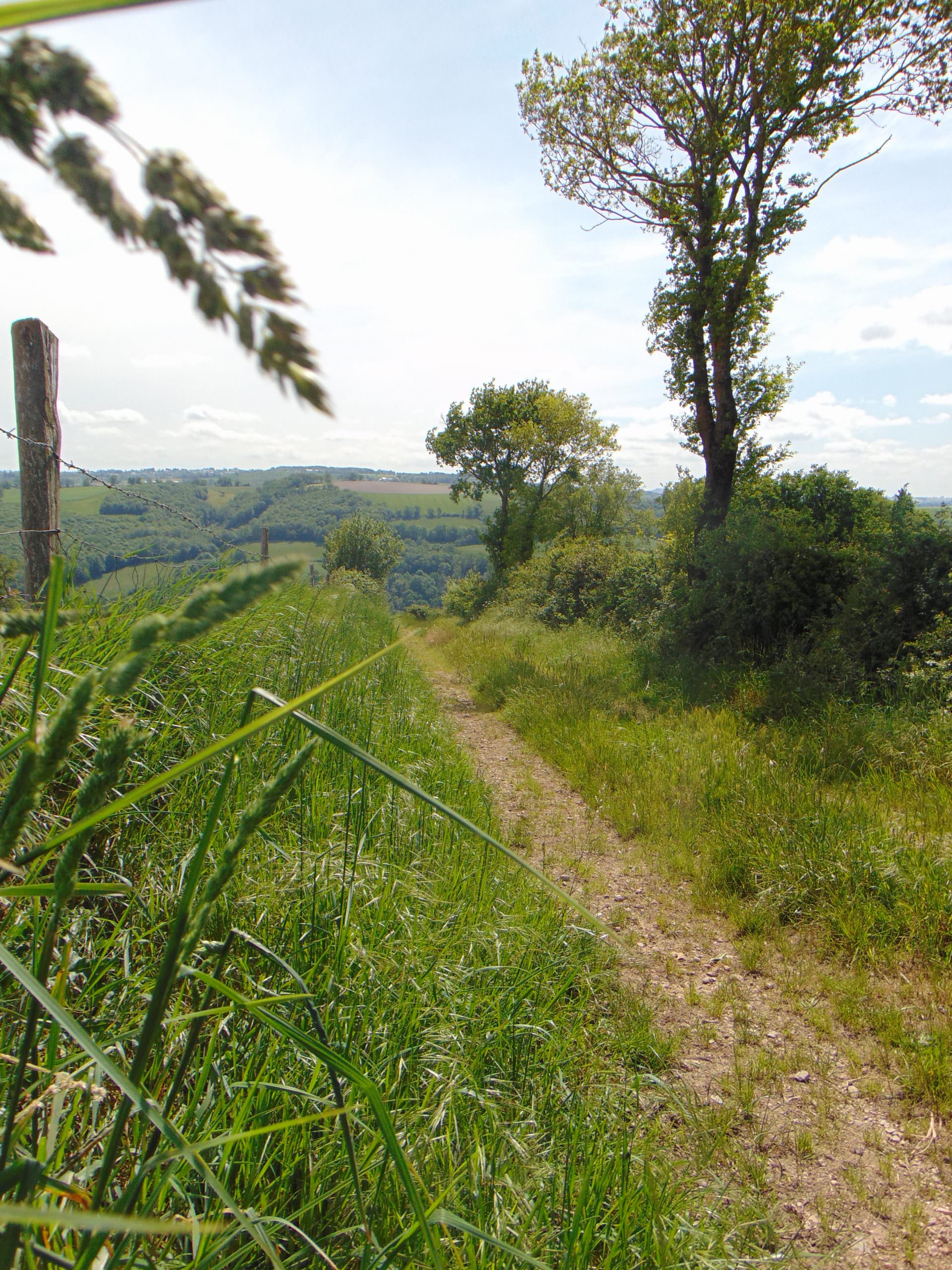 Présentation Commune de Mayran